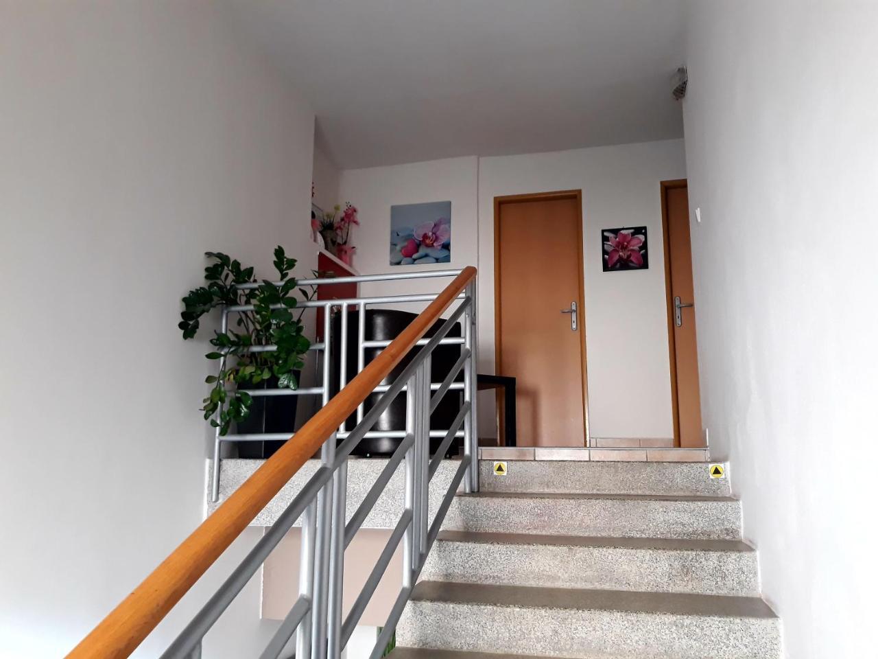 Penzion Fox Nemšová Exterior foto